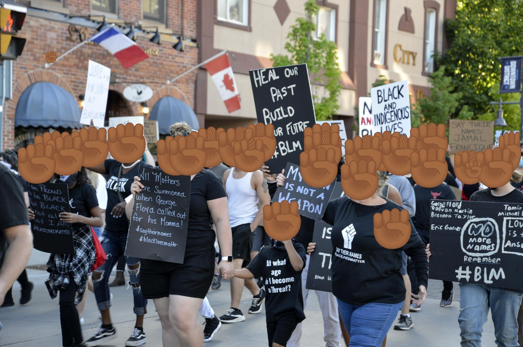 Anonymize Your Protest Photos with Image Scrubber