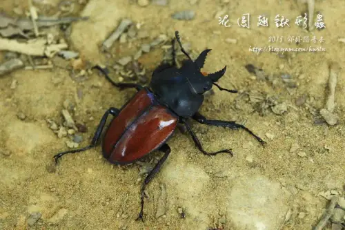 20141018 311(001).webp