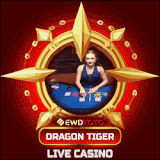 DRAGON TIGER.gif