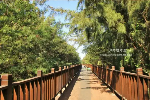 20201217 555拷貝.webp