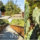 20201217 540 1拷貝 1