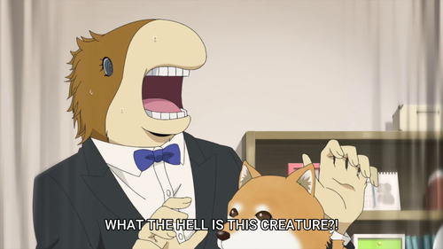 vlcsnap 2023 06 16 15h16m25s344.png