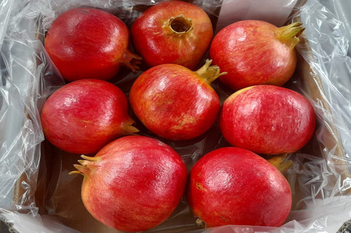 fresh fruits supplier.jpg