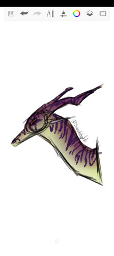 Doodle.jpg