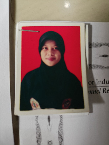 scaled ba768ea0 00f9 416f 8688 a7dca82eed884167695145472790990.jpg