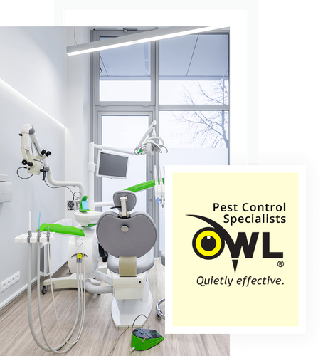 Pest Control Service in Clinics.png