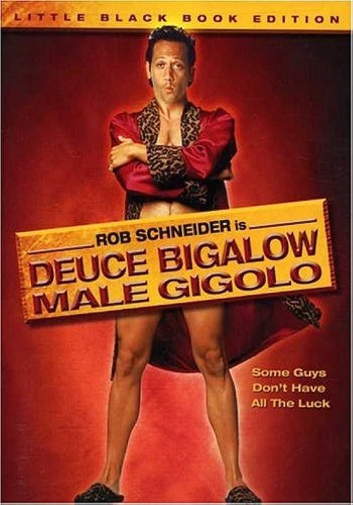 Boski żigolo / Deuce Bigalow: Male Gigolo (1999) PL.1080p.WEB-DL.H264-wasik / Lektor PL