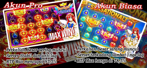 akun pro vs akun biasa.jpg