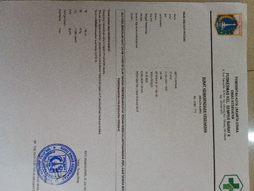 scaled 3e338e3d 5ed4 485f 9686 444264e6466d8963980946275757805.jpg