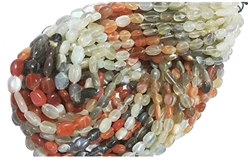 bv.1 PhotoRoom.png PhotoRoom.jpg