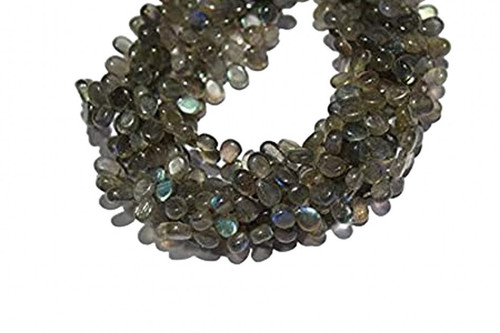 dx.1 PhotoRoom.png PhotoRoom.jpg