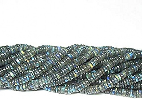 ns.1.jpg