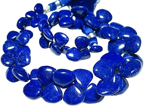 hp.1 PhotoRoom.png PhotoRoom.jpg