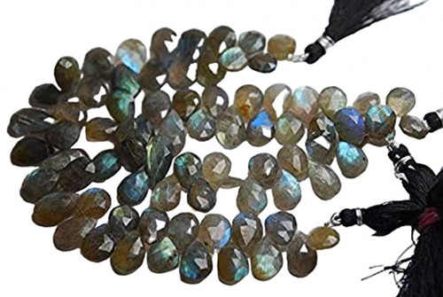 fv.1 PhotoRoom.png PhotoRoom.jpg