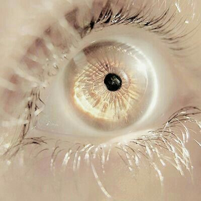 690197d9e8bb2cf0ea473cd78afaa2d6.jpg