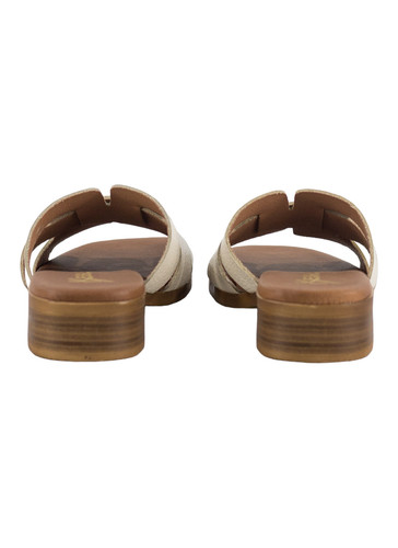 31531 4 PhotoRoom (2).jpg