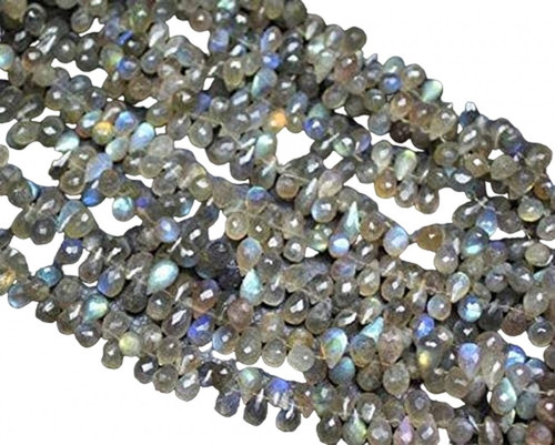 ho.1 PhotoRoom.png PhotoRoom.jpg