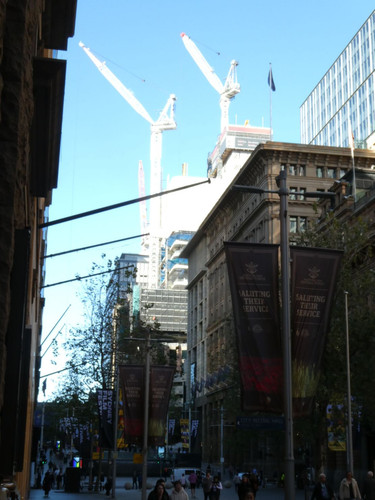 P1000416.jpg
