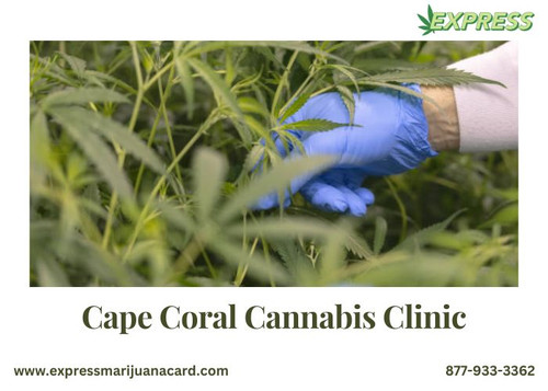 Express Marijuana Cannabis Clinic in Cape Coral.jpg