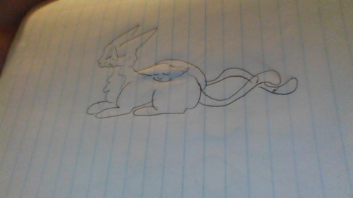 IMG 20230619 001351.jpg