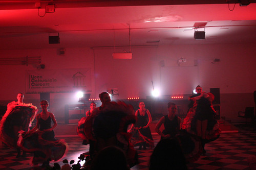 IMG 8943.jpg