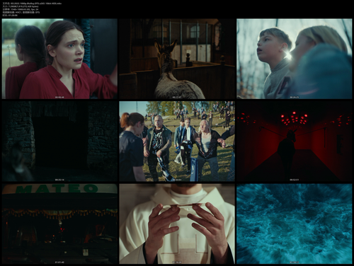EO.2022.1080p.BluRay.DTS.x265 10bit HDS.png