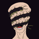 tumblr ngsrsdqLS11rlkr2bo1 500.gif