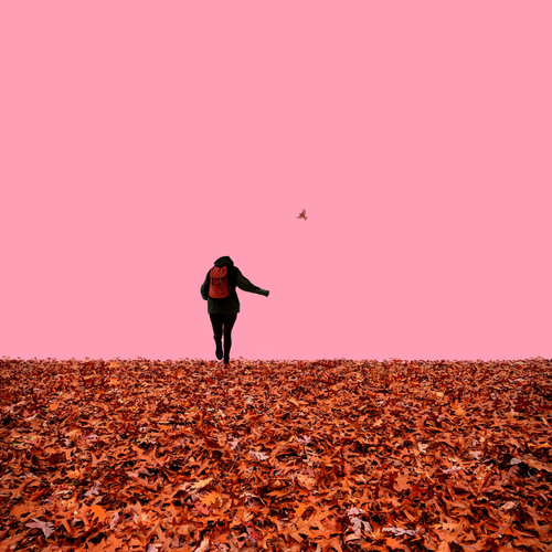 image 2023 06 16 095118188.png