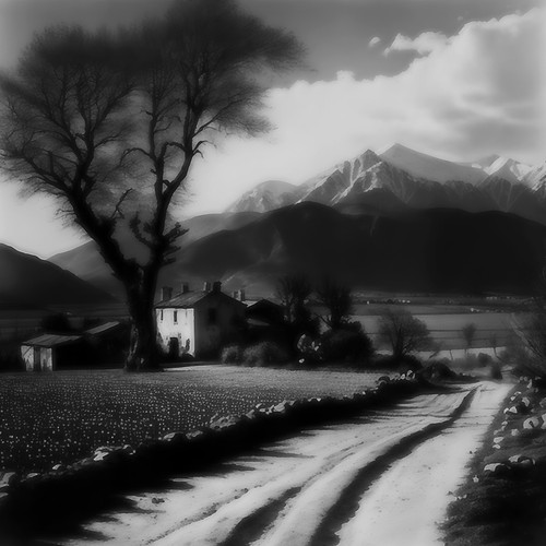Untitled Project (kopie 3).jpg