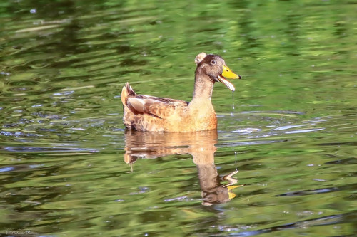 2810EFAE 34C3 42BB A658 63AF248685BE.jpg