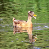 2810EFAE 34C3 42BB A658 63AF248685BE