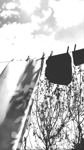 Untitled Project.jpg