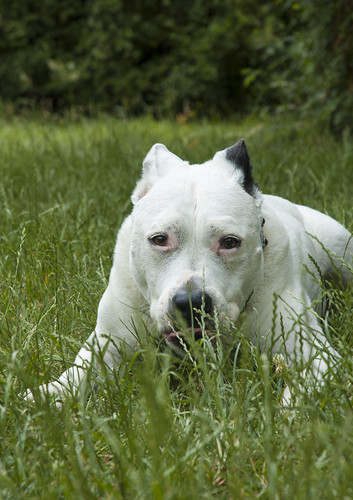 2023 06 15 Uxi 02.jpg