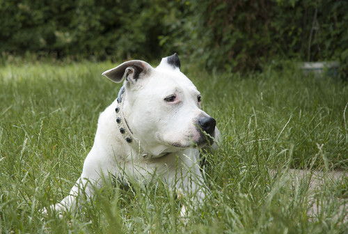 2023 06 15 Uxi 01.jpg