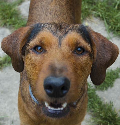 2023 06 15 Lotti Face To Face 01.jpg