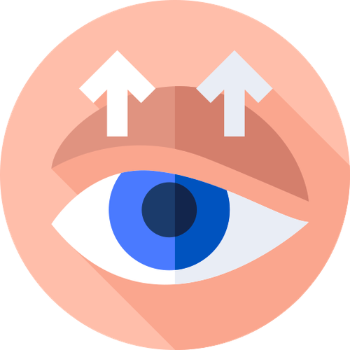 palpebra.png