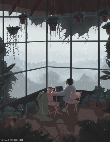 tumblr c79a6a685571b30897ae42c115c62d43 11aa0769 1280 (1).gif