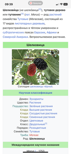 IMG 6707.png