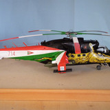 P1050852 (2)