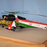 P1050857 (2)
