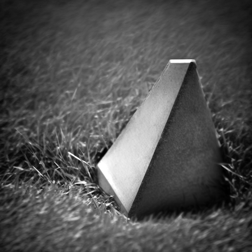 Zuzka Kubal on grass small simple blue wedge photography 2f4c34a4 675e 449e 82b8 37293b1b1aca.png