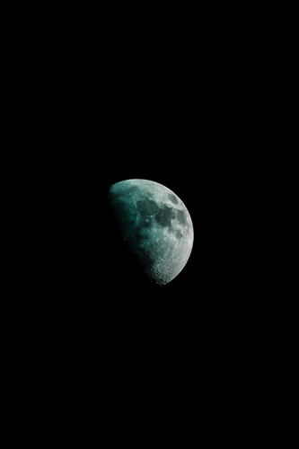 pexels kush kaushik 2078126.jpg