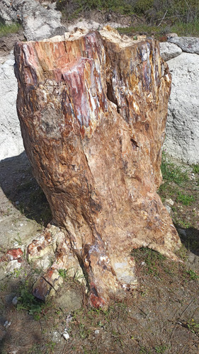 IMG 20230330 111153.jpg