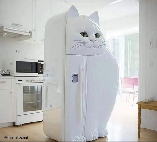 funny pictures 7984903.jpg