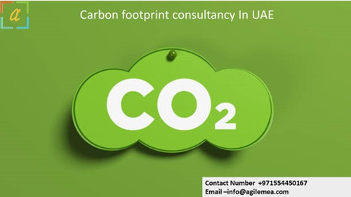 Carbon 27.jpg