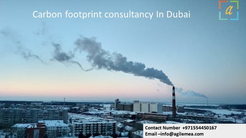 Carbon 1.jpg