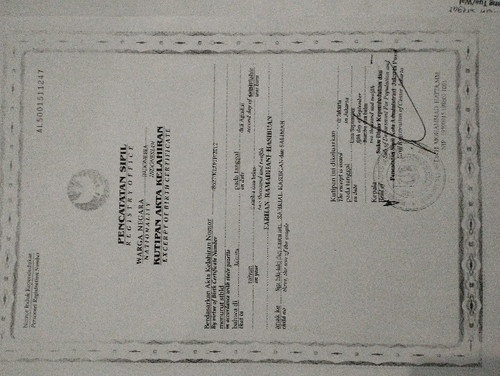 scaled bab3d220 4a19 4e29 aecc 0a342d6eda5a7052880418710177980.jpg