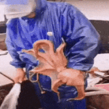 1656013825 1.gif