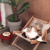 1685651546 18.gif