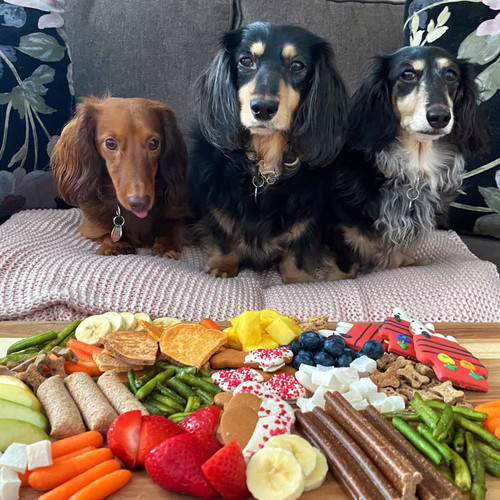 barkuterie.jpg